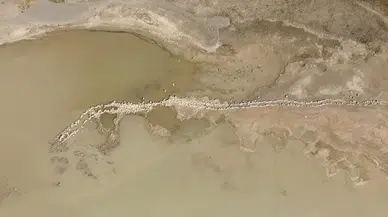 ‘Kuş Cenneti’ Arin Gölü Hayvanların Otlak Alana Dönüştü