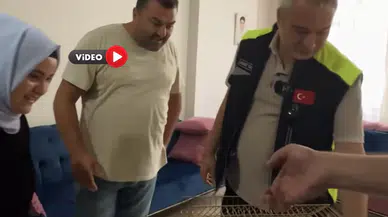 Aşgın’ın Bulduğu Kuş, Sahibini Buldu