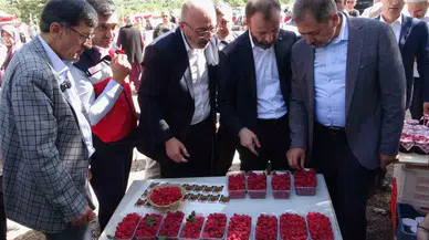 Kütahya’da ’Ahududu Şenliği’ Renkli İmgeler Oluşturdu