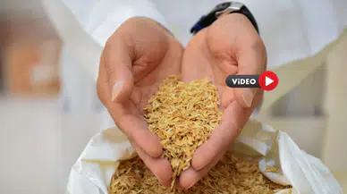 Çorum’un Meşhur Ürününden Dayanıklı Malzeme Üretildi