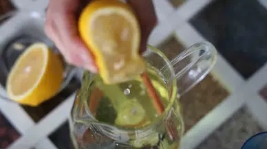Okullar Açıldı, Sağlıklı Beslenme Telaşına Uzmanlardan Bitkisel Tavsiyeler