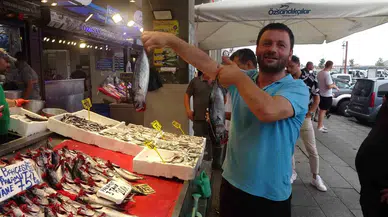 Palamut Avı Sürat Kesti