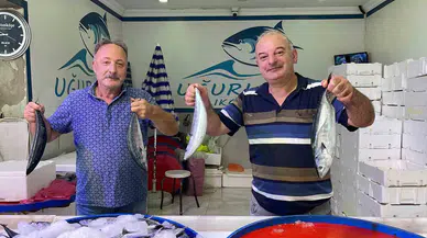 Palamutun Tezgahlardaki Krallığı Sürüyor