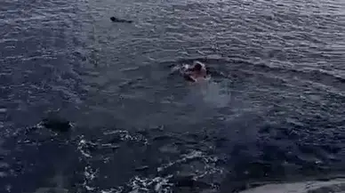 Pendik’te Denize Düşen Bayan Son Anda Kurtarıldı
