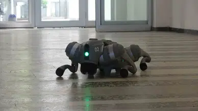 Sarsıntı Sonrası Hasar Tespiti Artık Yapay Zeka Takviyeli Robotik Köpeklerle Yapılacak