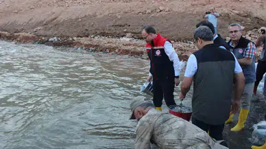 Siirt’te 1 Milyon Yavru Sazan Suya Bırakıldı