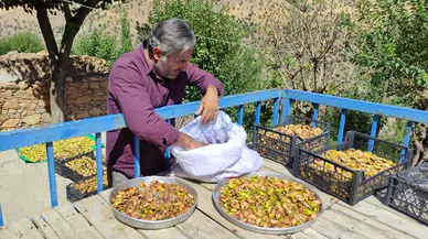 Uzun Kış Gecelerinde Tüketmek İçin Meyveler Damlarda Kurutuluyor