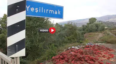 Bu Görüntüler Irmak Kenarından, Satamadıkları Ürünleri Döktüler!
