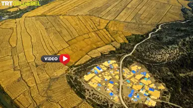 Çorum’da Üretilen Pirincin Eşsiz Yolculuğu TRT Belgesel’de