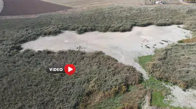 Çorum’un Kuş Cennetinin Son Hali Yürekleri Yakıyor