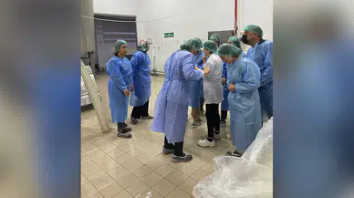 Gıda Güvenliği İçin Eğitimler