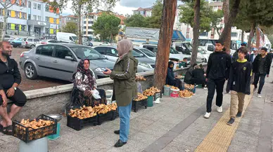 Osmancık’ta Mantar Bereketi