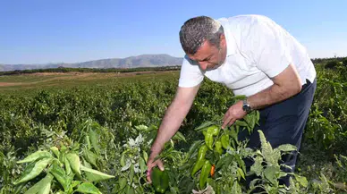 ABD’nin Kapya Biberi Malatya’dan