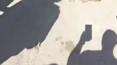 Adana’da Maymun Çocuğa Saldırdı