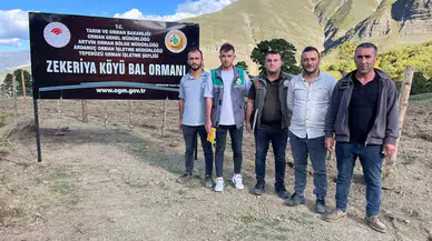 Artvin’de Keşfedilen Bal, Köylünün Yeni Gelir Kapısı Oldu