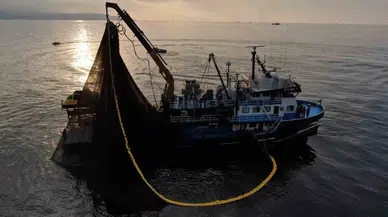 Balıkçıların Şiddetli Mesaisi