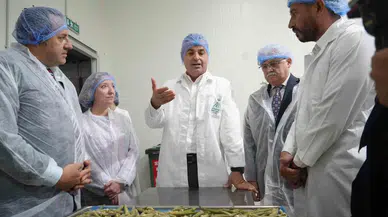 Balıkesir Bamyasını Cips Yapıp 15 Kat Kıymet Kattılar...amerika Pazarına Gönderdiler