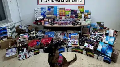 Batman’da Kaçakçılık Yapan Kargo Firması Aracı Jandarma Takımlarına Takıldı