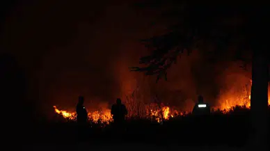 Beyşehir Gölü Ulusal Parkı’ndaki Sazlık Alan Yangını
