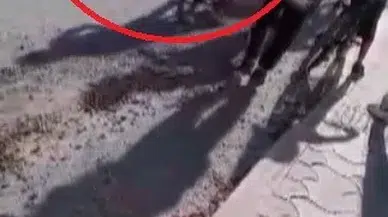 Gürültüye Reaksiyon Gösteren Şahsın 12 Yaşındaki Çocuğu Dövdüğü Anlar Kamerada