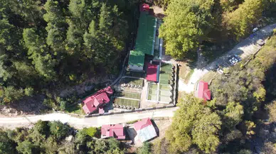 Her Yıl 1 Milyon 100 Bin Kırmızı Benekli Yavru Orman İçi Sularıyla Buluşuyor