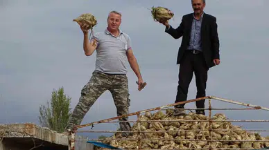 Hisarcık’ta Şeker Pancarı Üretiminde Artış