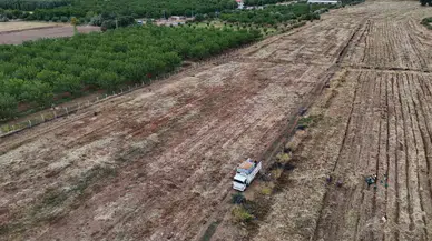 Malatya’da Üretilen Soğanlar Avrupa’ya İhraç Ediliyor