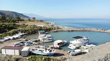 Oltayla Tuttuğu 1 Buçuk Metrelik Devasa Balığı Görünce Gözlerine İnanamadı