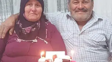 Ordu’da Bahçede Çalışan Karı Kocaya Yaban Domuzu Saldırdı: 1’i Ağır 2 Yaralı