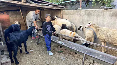 Otomobilini Satarak Hayvancılığa Başlayan Depremzede Baba ve Böbrek Hastası 2 Evladının Umudu Olan 22 Koyunu Polis Takımları Buldu