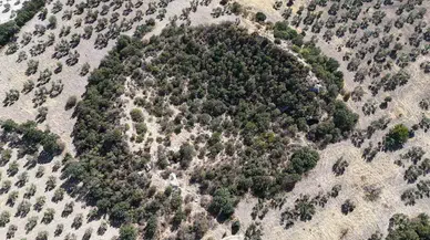 (Özel) 2 Bin 400 Yıllık Tiyatro