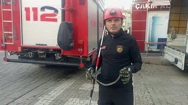Park Halinde Minibüse Giren Yılan, İtfaiyenin Müdahalesiyle Çıkarıldı