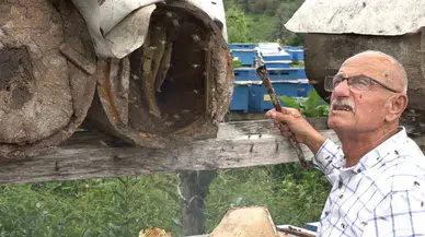 Rize’de Karakovan Balının Hasadı Tamamlandı, Fiyatı Belirlendi