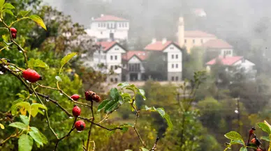 Tarihi Süleymaniye Mahallesi’nde Sisli Sonbahar Hoşluğu