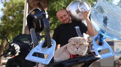 Tüpçünün Motosiklet Tutkunu Kedisi