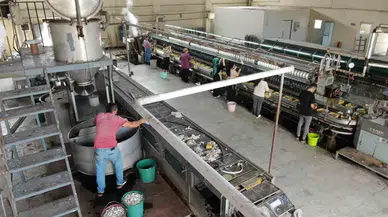 Türkiye’nin Yüzde 100 Dışa Bağımlı Olduğu Veteriner Hizmetlerinde Kullanılan Ameliyat İpi Diyarbakır’da Üretilmeye Başlandı