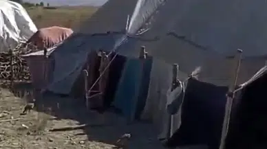 Van’da Kurduğu Çadırla Keklik Avlayan Bireye 202 Bin TL Ceza