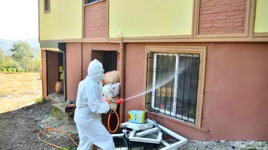 Vatandaşlar Kokarcayla Uğraş Başlattı, 550 Konut İlaçlandı