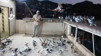 Zelzelenin Bile Vazgeçiremediği 35 Yıllık Tutkusunu Meskeninin Çatısında Sürdürüyor