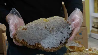 3 Sefer Dünya Birincisi Olan Bitlis Kara Kovan Balı Memleketler arası Arenada da İsminden Kelam Ettiriyor