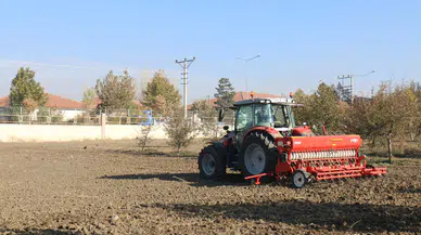 Arpa ve Buğday Çeşit Denemeleri Başladı