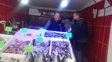 Balık Satış Yerleri ve Avcılık Alanları Mercek Altında