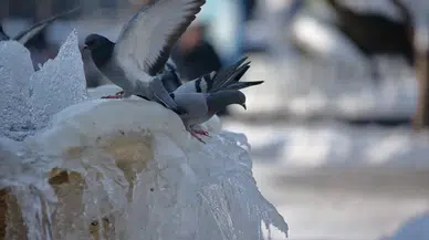 Çorum’da Hava Sıcaklığı Aniden Düşecek