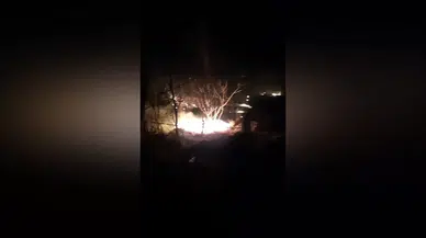 Kuruyan Meyve Ağaçları Tutuştu