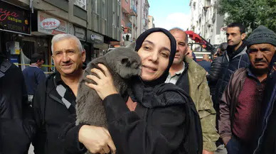 Patlamada Mahsur Kalan Kedisine Kavuştu