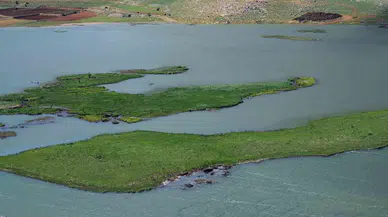 Adıyaman’da Yüzen Adaların Kurtarılması İçin Çalışma Başlatıldı