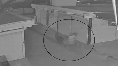 Akıl Almaz Olay; At Otomobiliyle Gelip, Sitenin Demir Kapısını Çaldılar O Anlar Kamerada