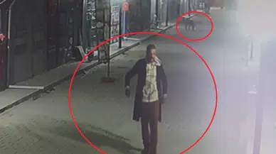Akılalmaz Olay: İş Yerinin Kapısını Açıp Kedileri Köpeklere Parçalattı