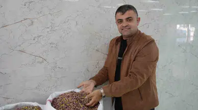 Antep Fıstığına Dubai Çikolatası Tesiri