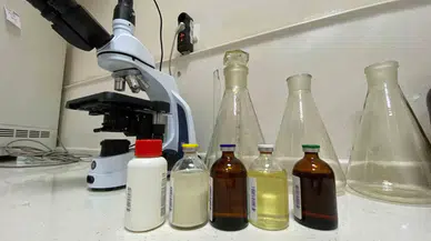 Antibiyotik Tedavisi Yarım Bırakıldığında Bedende Antibiyotiğe Karşı Direnç Gelişebiliyor